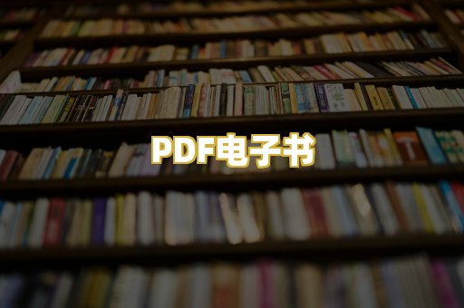 PDF电子书